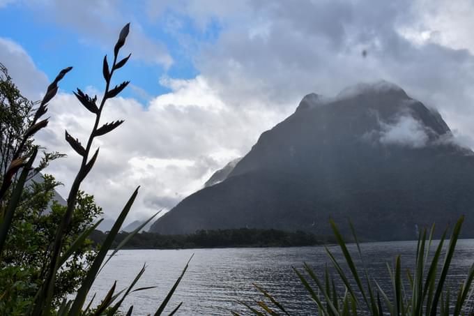 milford sound tour from queenstown