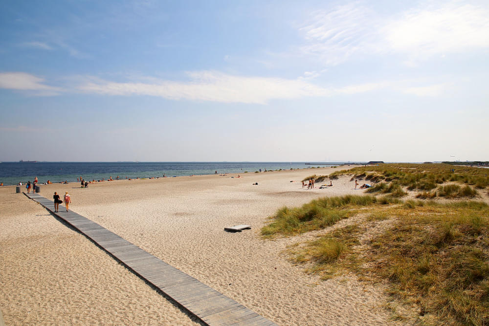 Amager Beach Park Overview