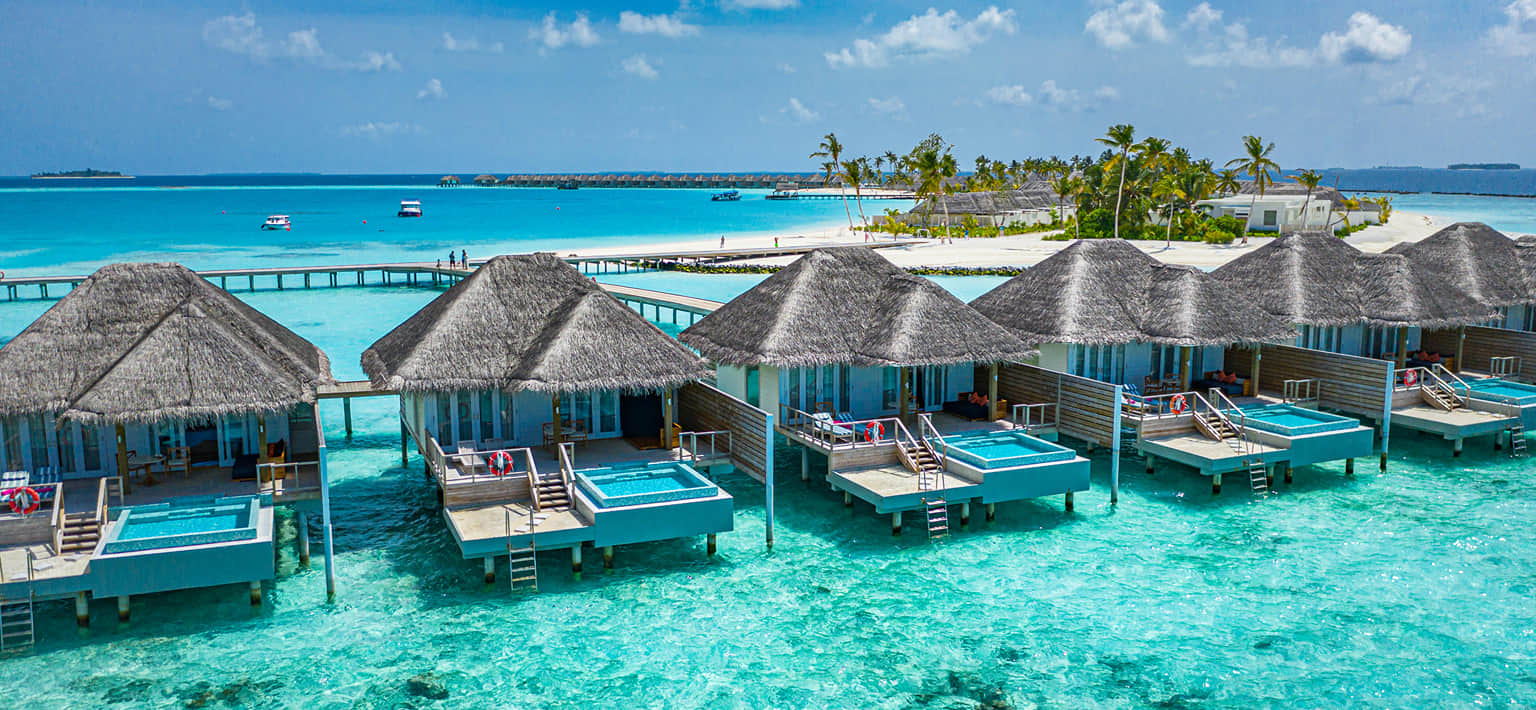 Premium Tours