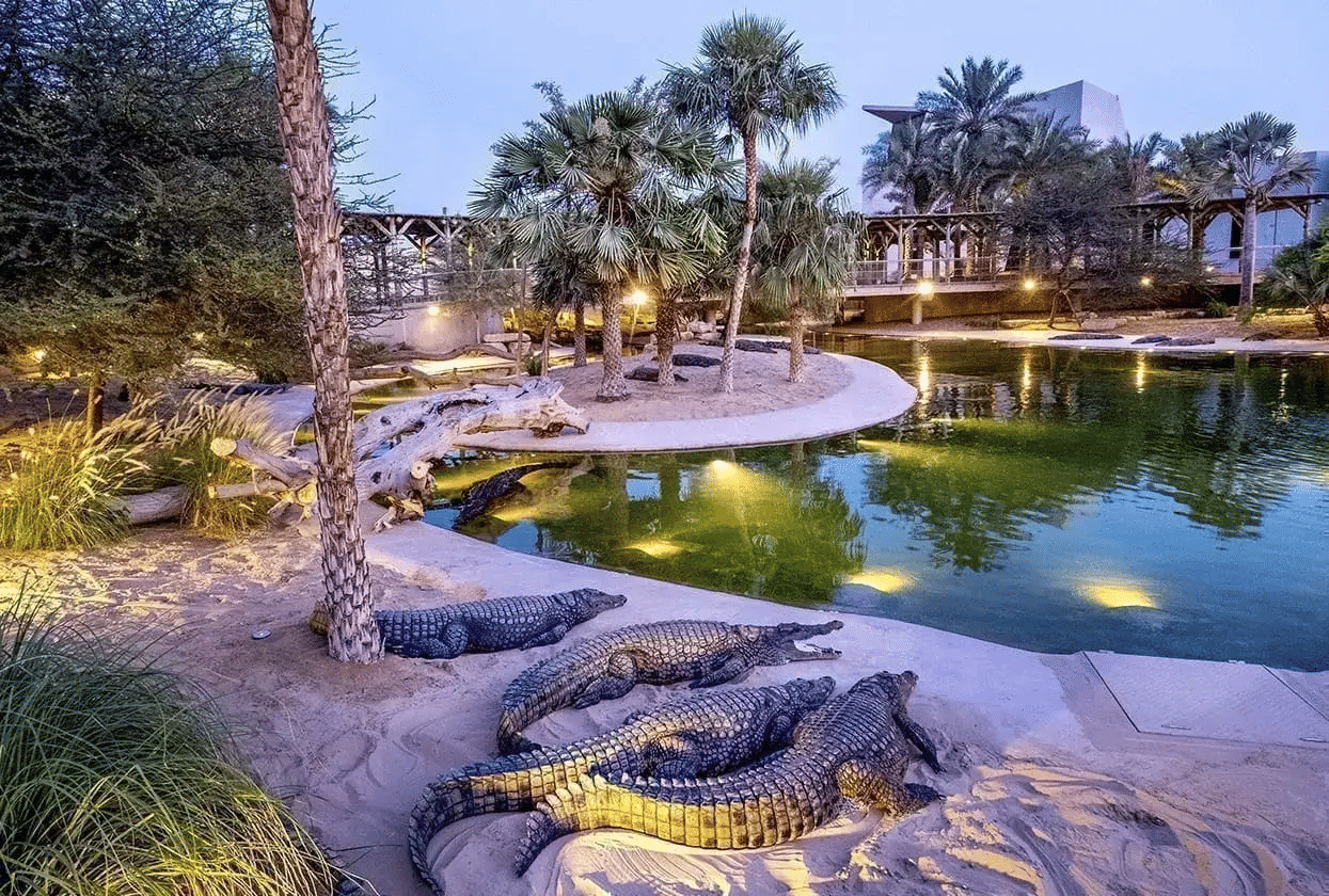 Dubai Crocodile Park Overview
