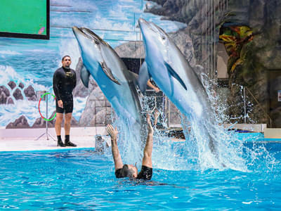 Dubai Kids Special with Free Tickets To Aquaventure Waterpark Day 1