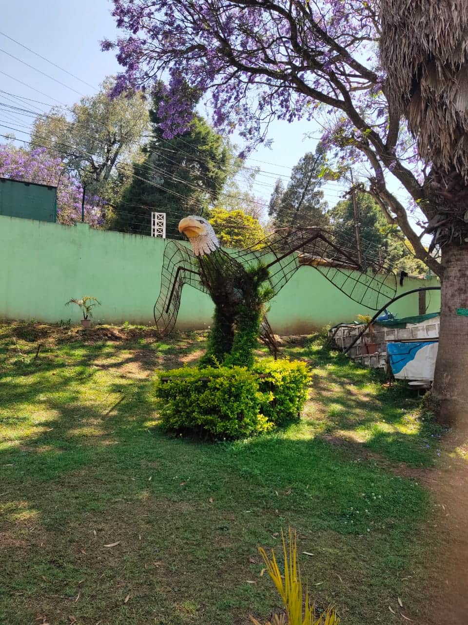 Photo from Tejal Abhilash Malde's trip