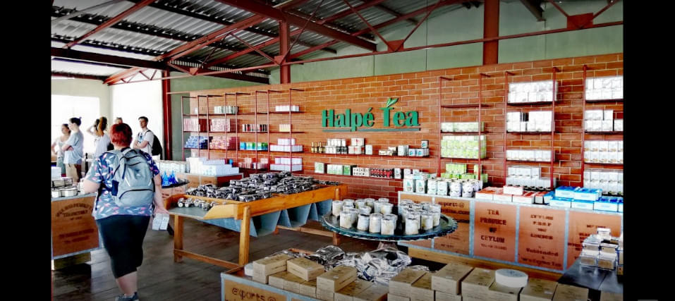 Uva Halpewatte Tea Factory Overview