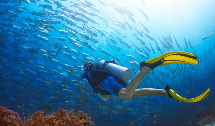 Scuba Diving Experience In Pondicherry Image
