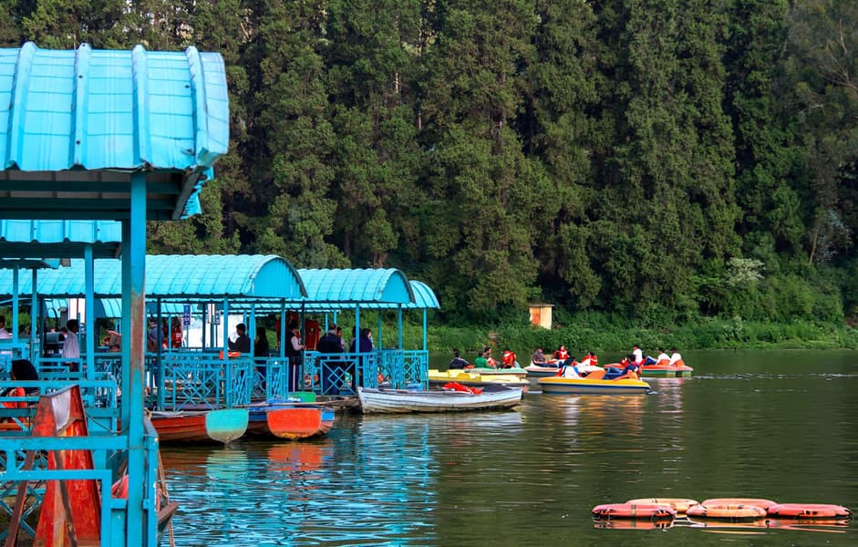 Bangalore, Mysore and Ooty Tour Package Image