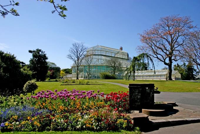 dublin botanic garden