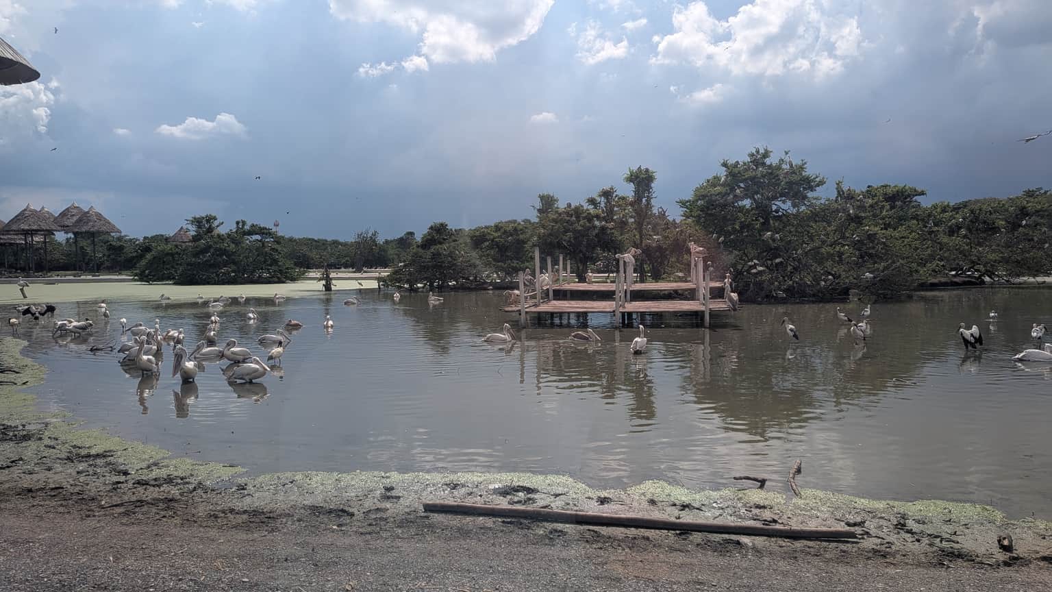 Photo from Ekta Parvin's trip