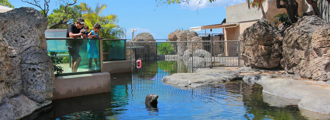 Hawaiian Monk Seal Habitat