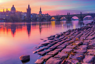 Ij7ch1bd7c8j0bwlf4jo4d8uou3k 1598336088 shutterstock 1344992093