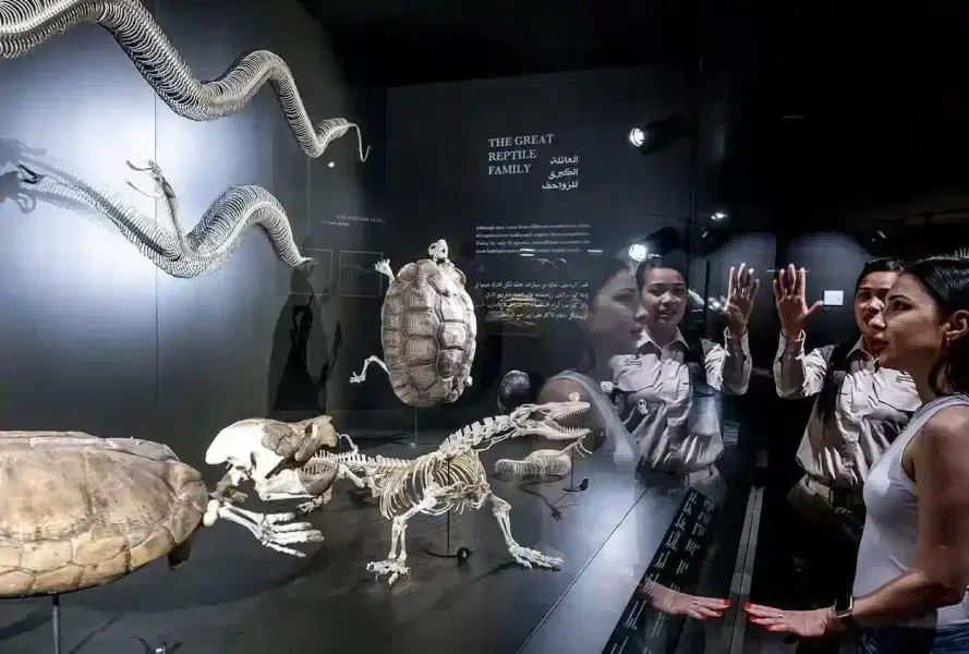 Dubai Crocodile Park Tickets Image