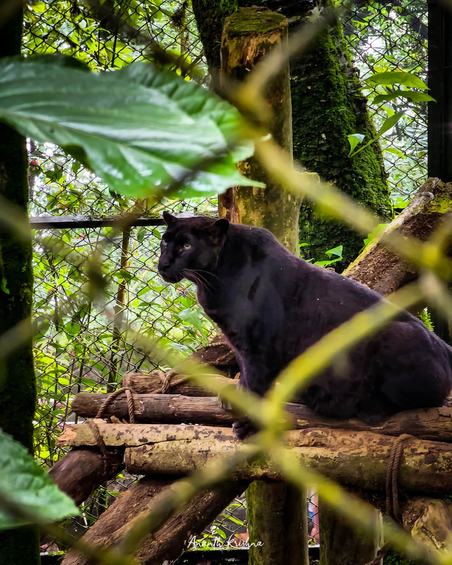 Photo from Ananth Kolli's trip