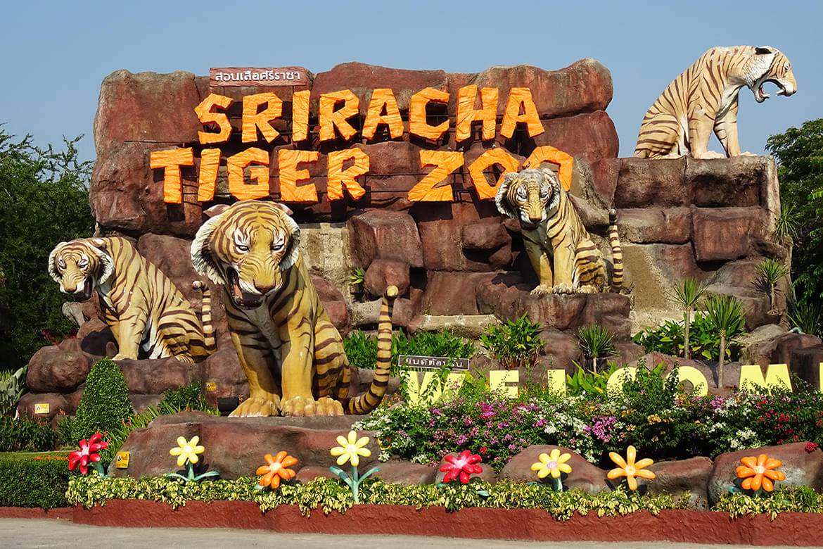 Zoo　Book　25%　Pattaya　Flat　Tickets　Now　Tiger　Sriracha　Off