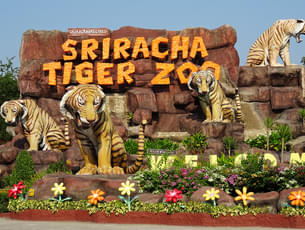 Found this hidden place in SRI RACHA called “ROYAL BENGAL TIGER's