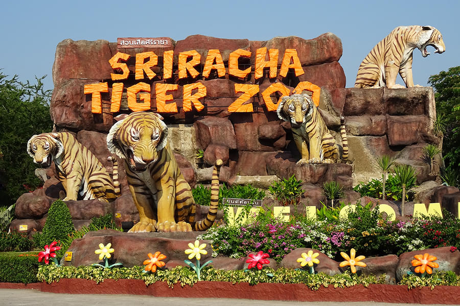 Sriracha Tiger Zoo Pattaya Tickets Image