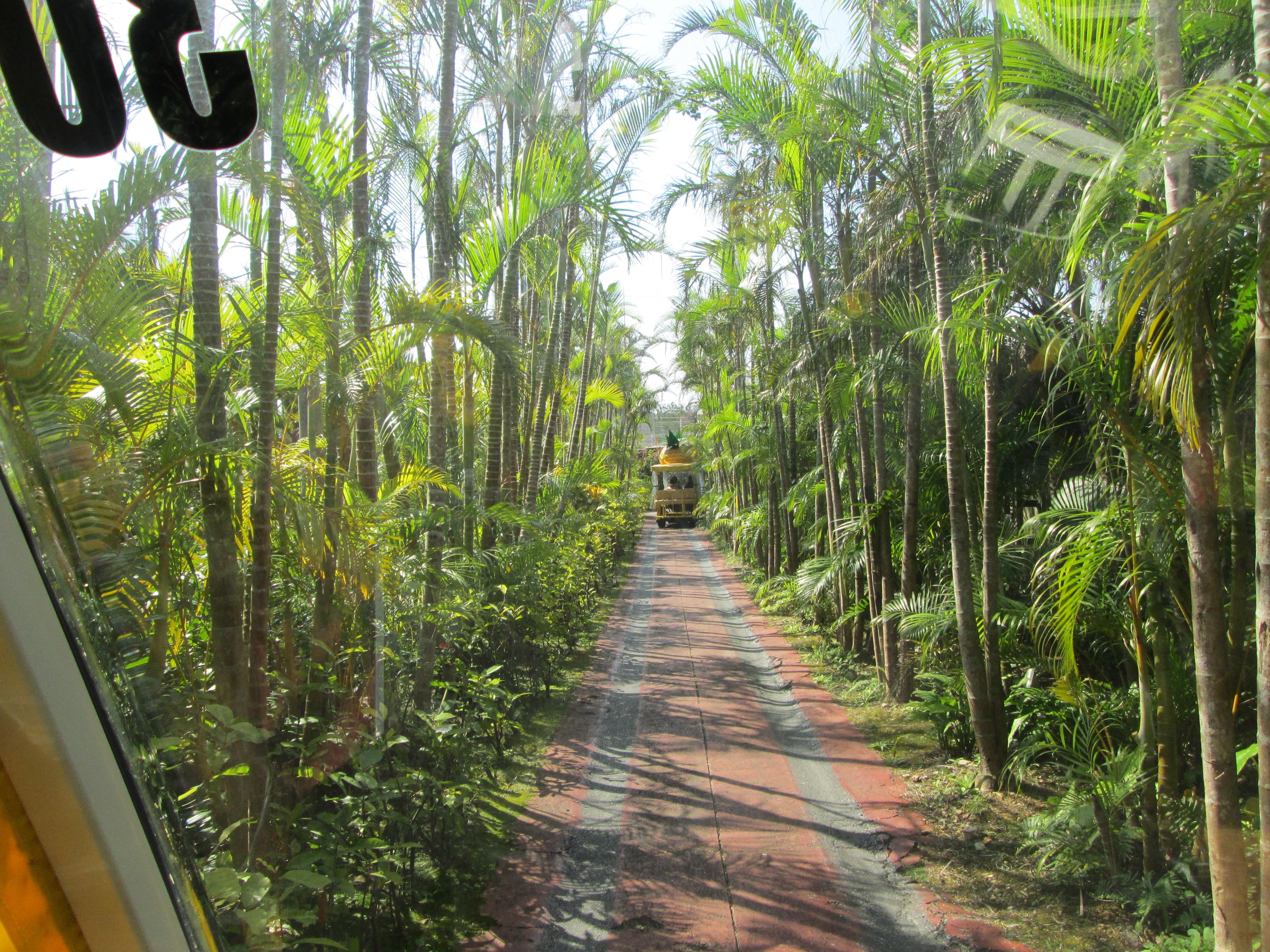 Nago Pineapple Park Okinawa 