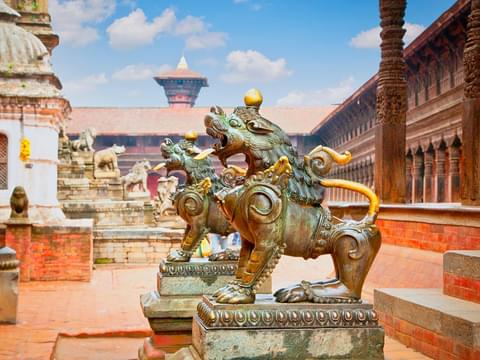Activity & SightSeeing Image