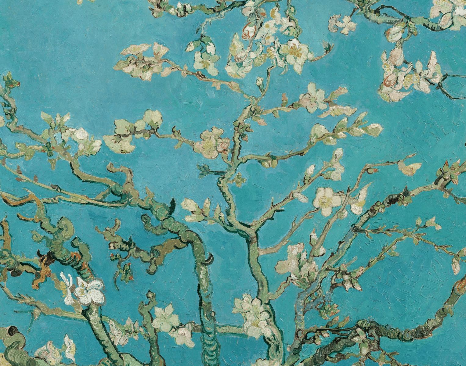 See the beautiful painting of Almond Blossoms 