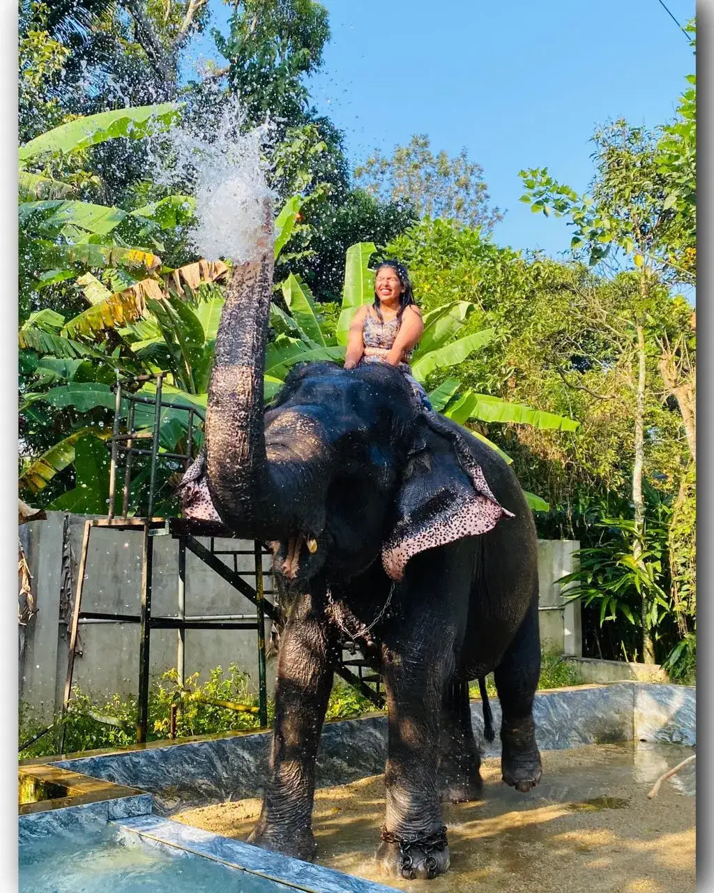 Photo from Ankita Patil's trip