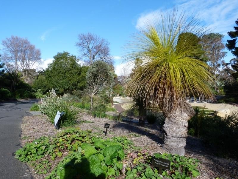 Geelong Botanical Gardens Overview