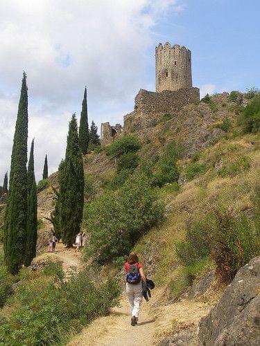 The Cathar Castles