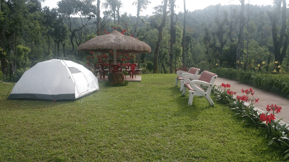 Moon Mist Homestay, Chikmagalur Image