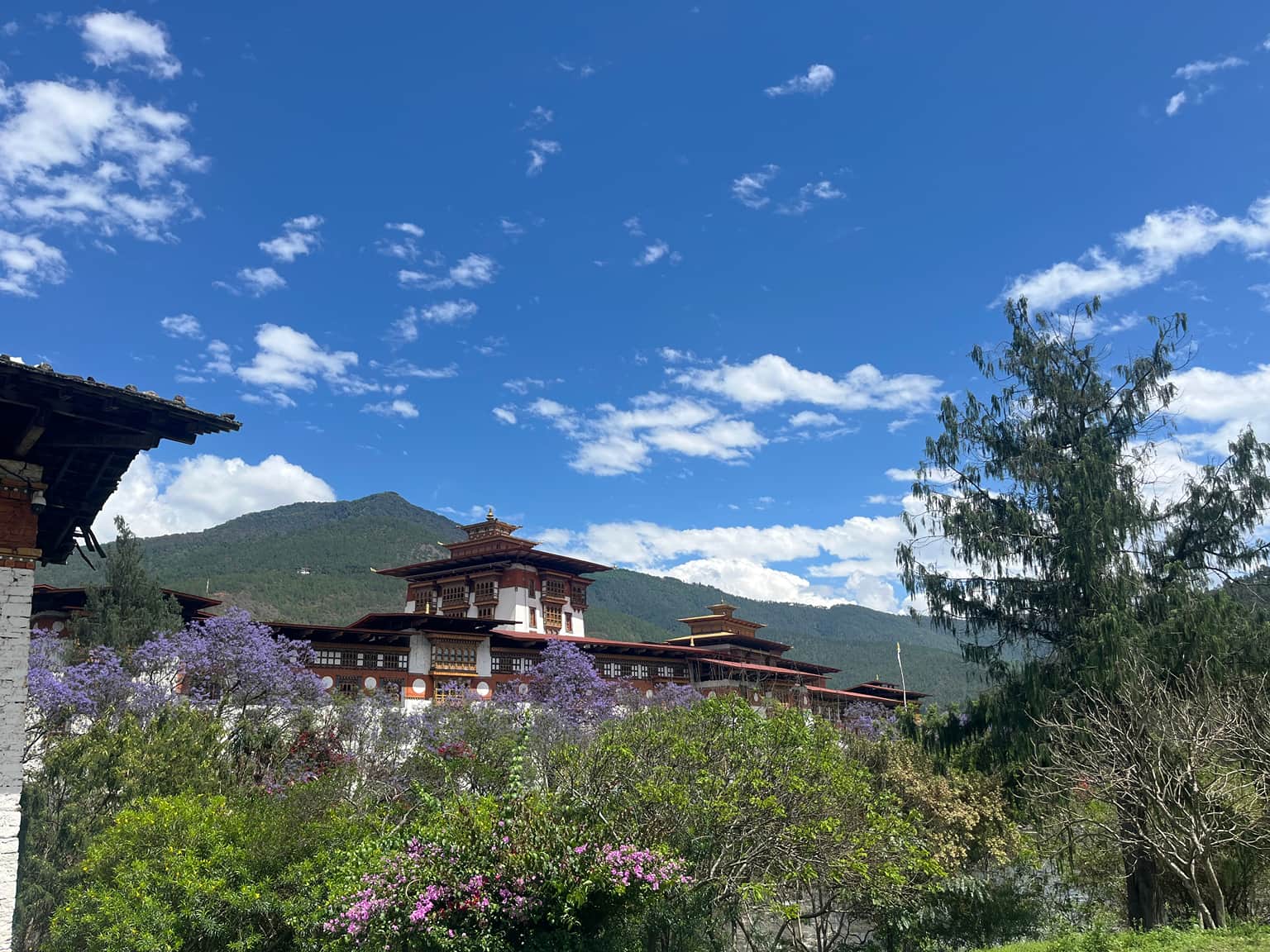 Photo from Nisha Ms's trip