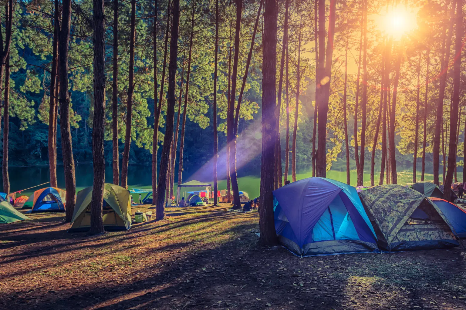 Best Jungle Camping Tours
