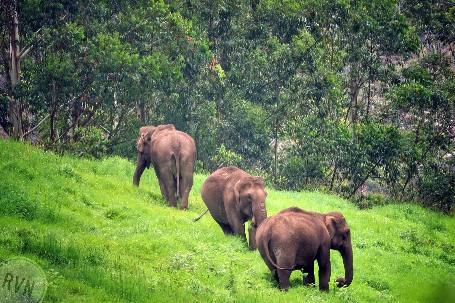 Photo from Naresh Rajendran's trip