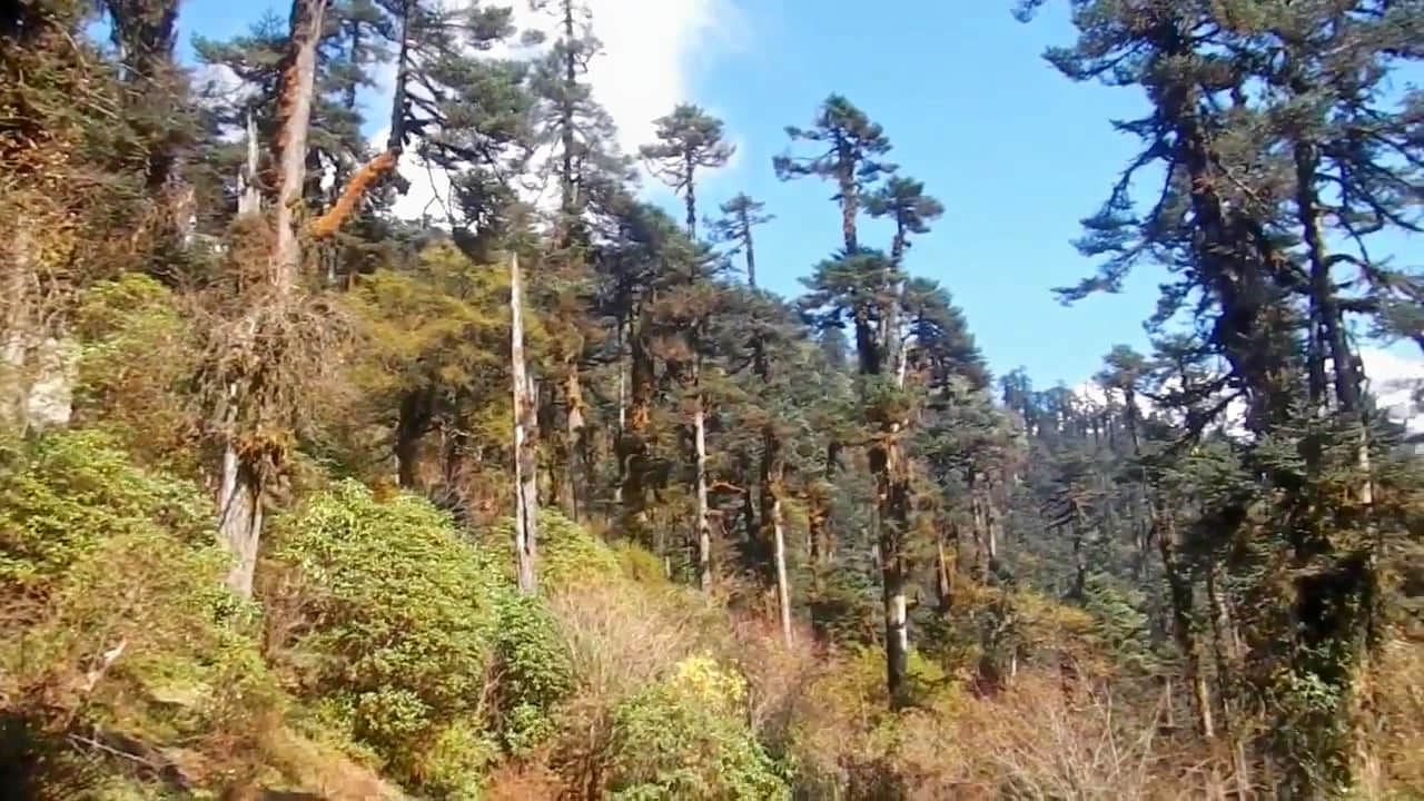 Photo from Amrit Mehra's trip