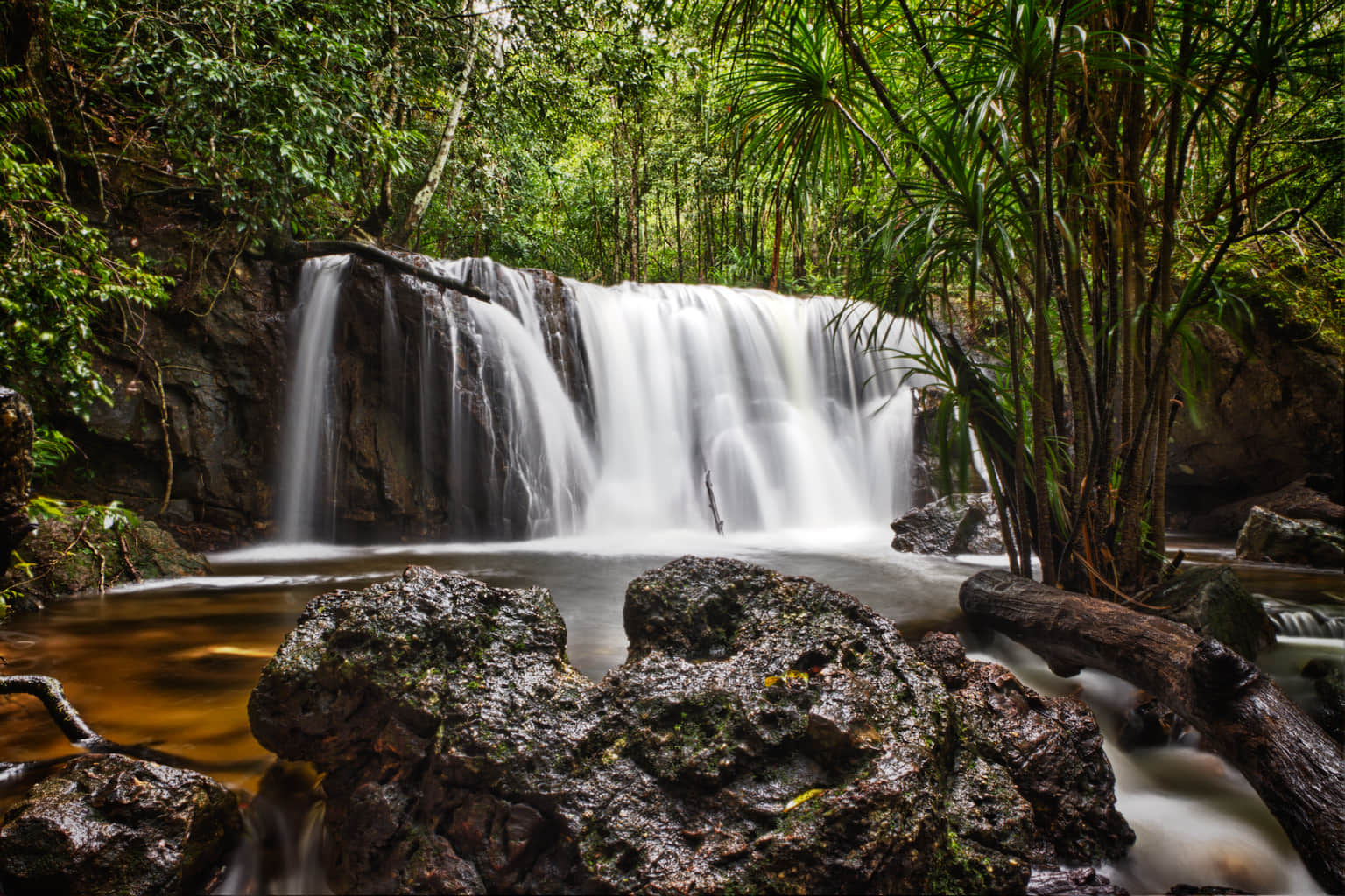 Tranh Stream