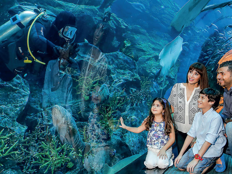 Dubai Aquarium Explorer Pass