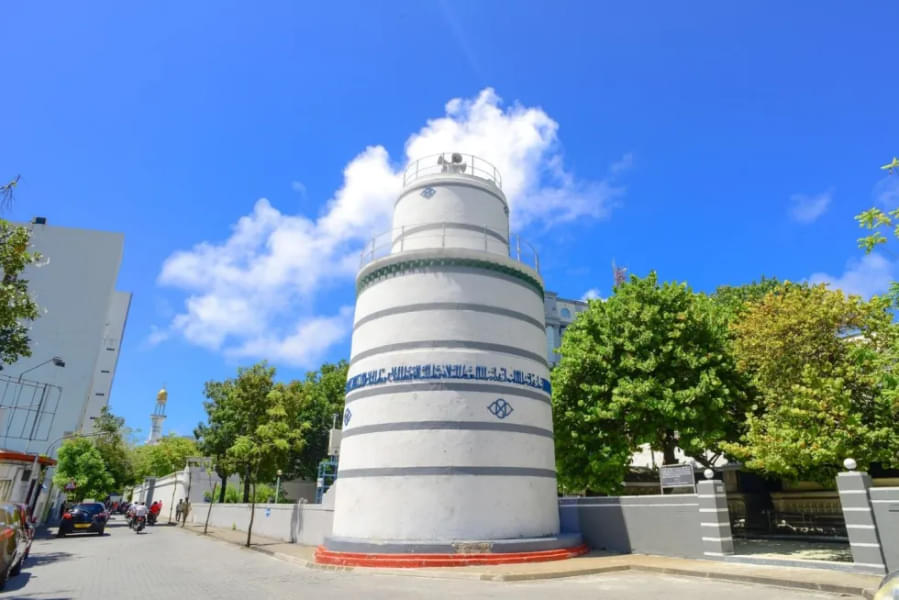 4 Hour Male City Walking Tour Image