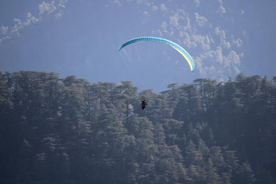Paragliding In Shimla Image