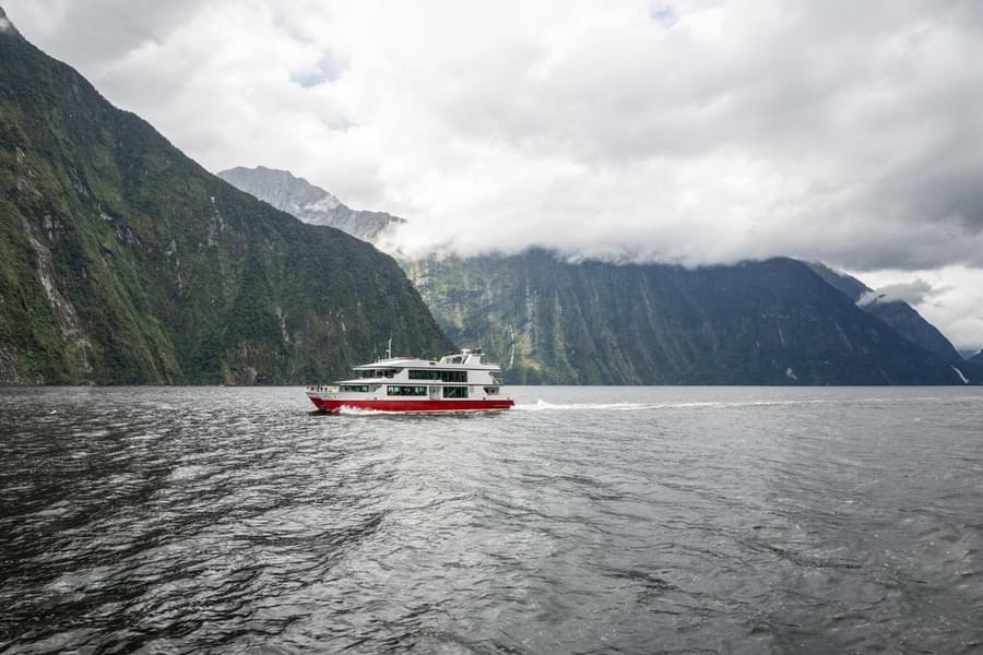Milford Sound Boutique Small Boat Cruise