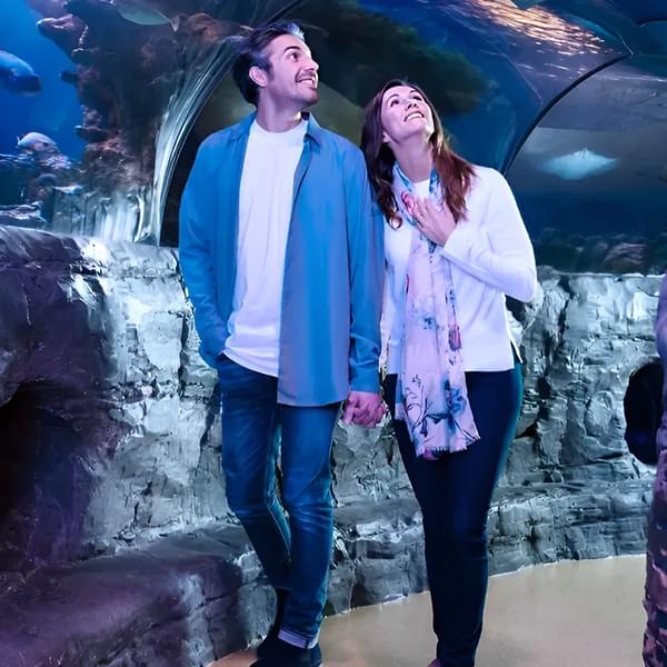 Visit the amazing Sea life Charlotte-Concord with your friends and family