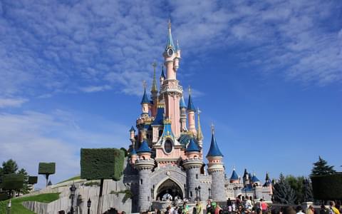 Activity & SightSeeing Image