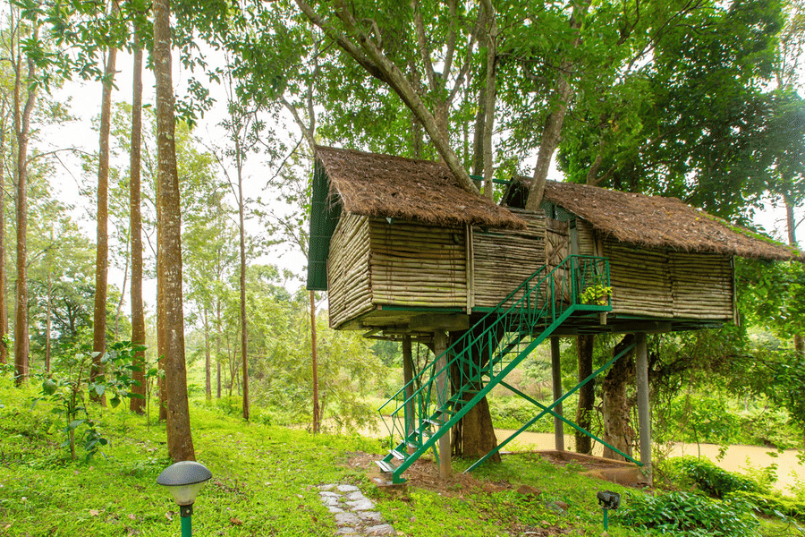 A Wooden Cottage Stay Nested In The Woods Near Mysore Image