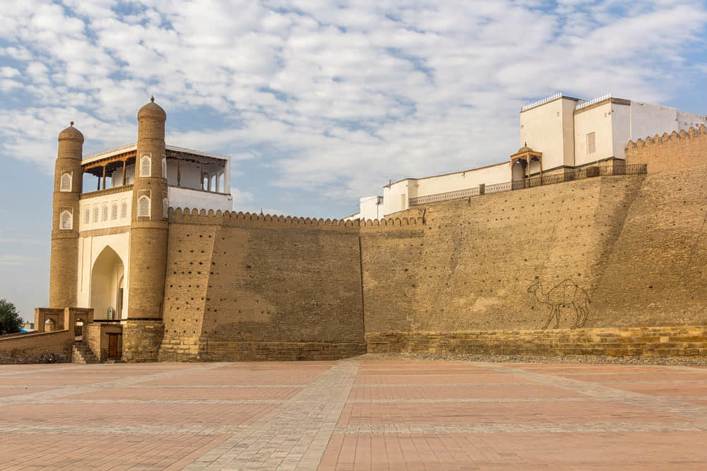 Ark, <em>Uzbekistan</em>