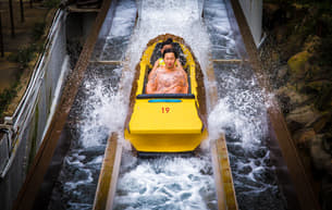 Ion7o39nea3735i9pg0xspxs01ld shutterstock 1428405083