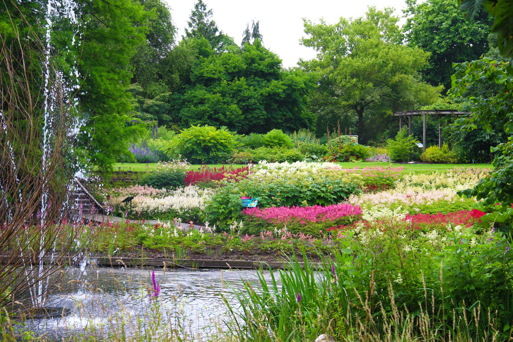 Utrecht Botanic Gardens Overview