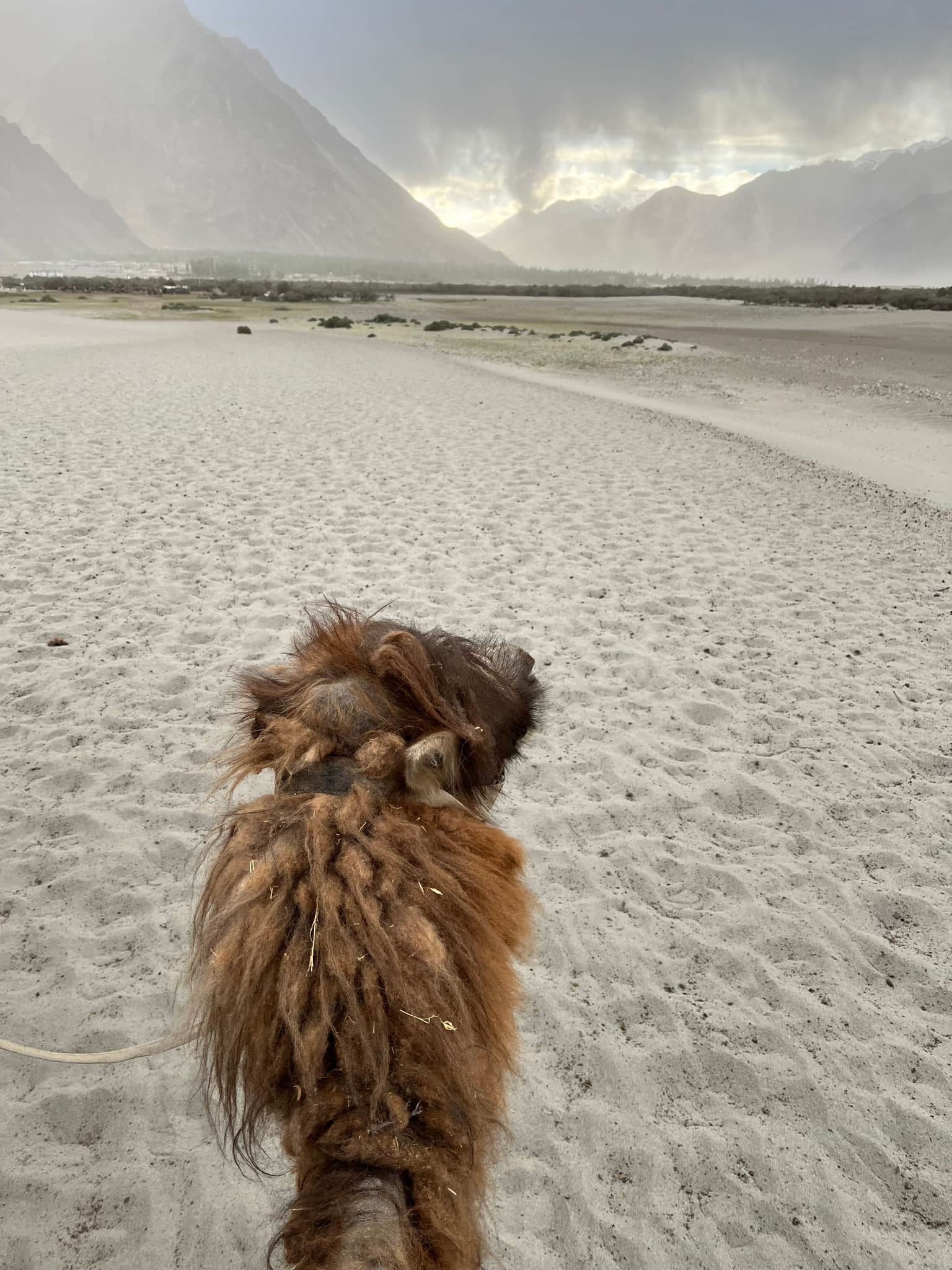 Photo from Akshay Singhvi's trip