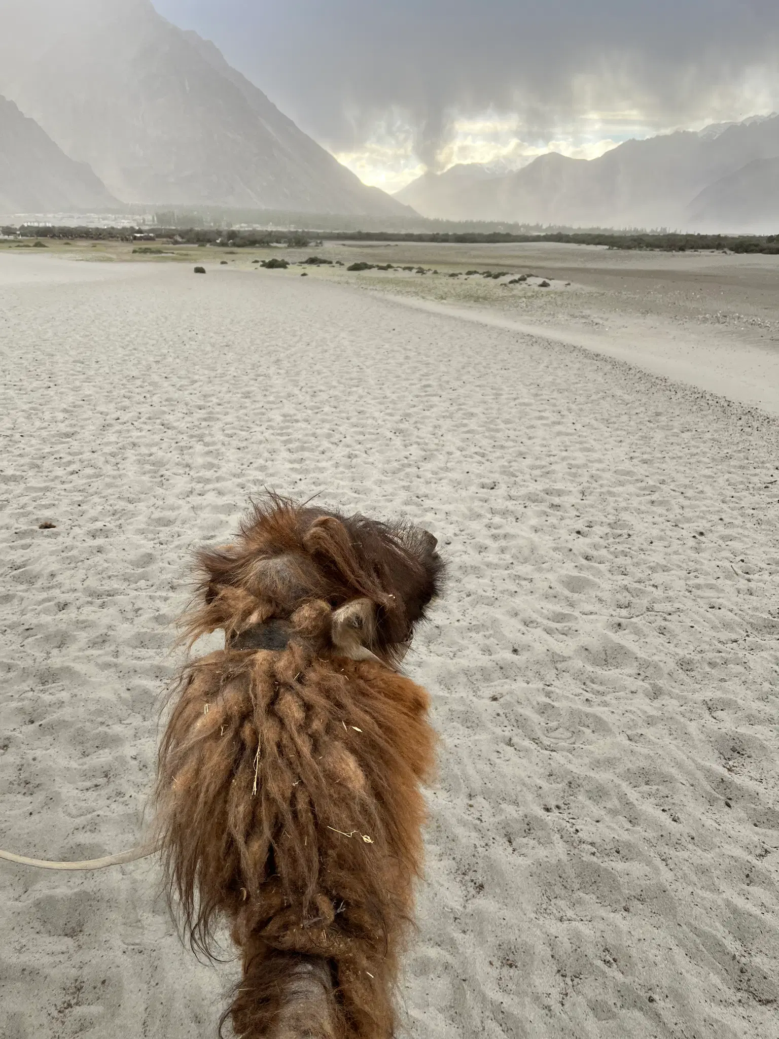 Photo from Akshay Singhvi's trip