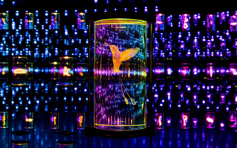 Museum of the Future Admission Tickets Image