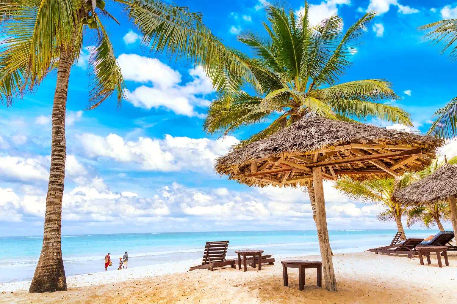 Discover Kenya with Diani Beach | From Wildlife Wonders to Sandy Shores