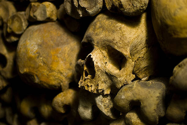 Catacomb and Rodin Museum Tickets, Paris Image