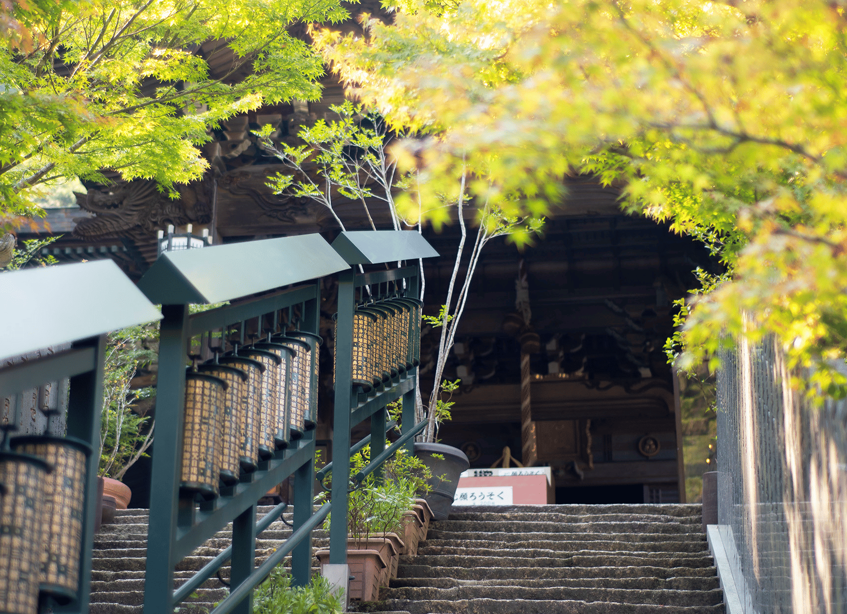 Stroll through the Omoto Park