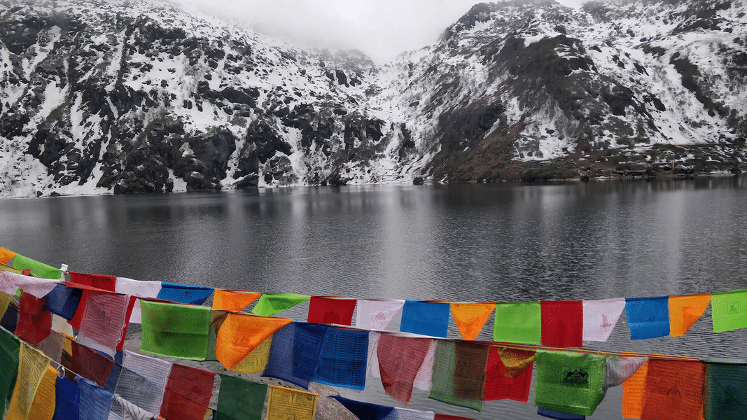 Sikkim Darjeeling | FREE Darjeeling Tea Garden Excursion Image