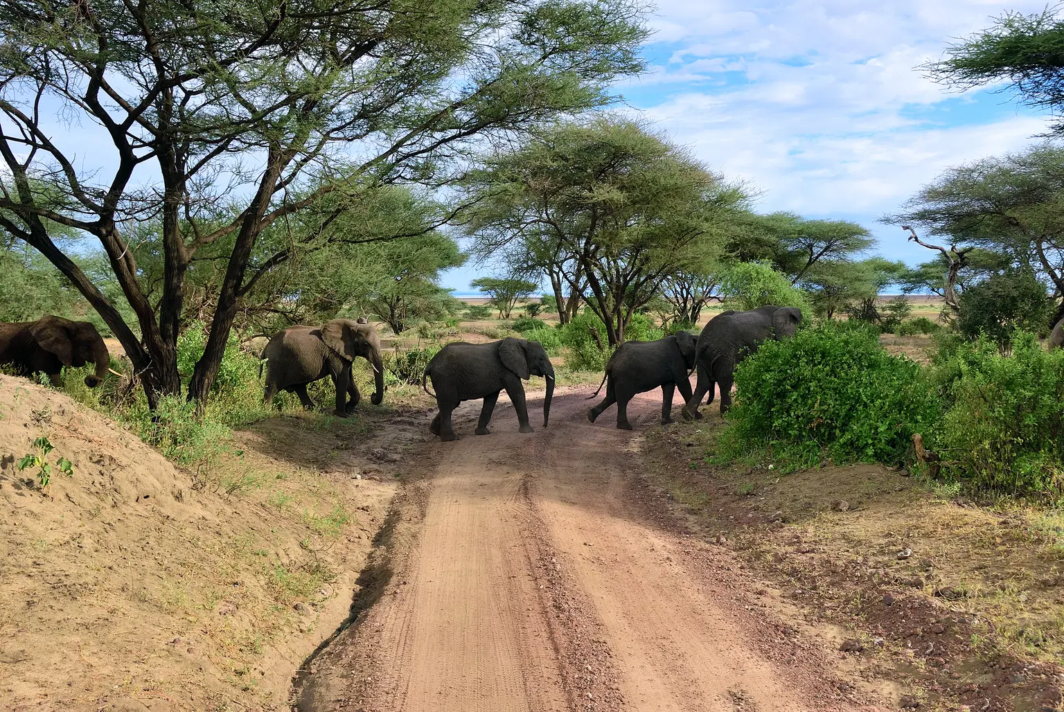 <em>Kenya</em> Tour Packages From Mysore