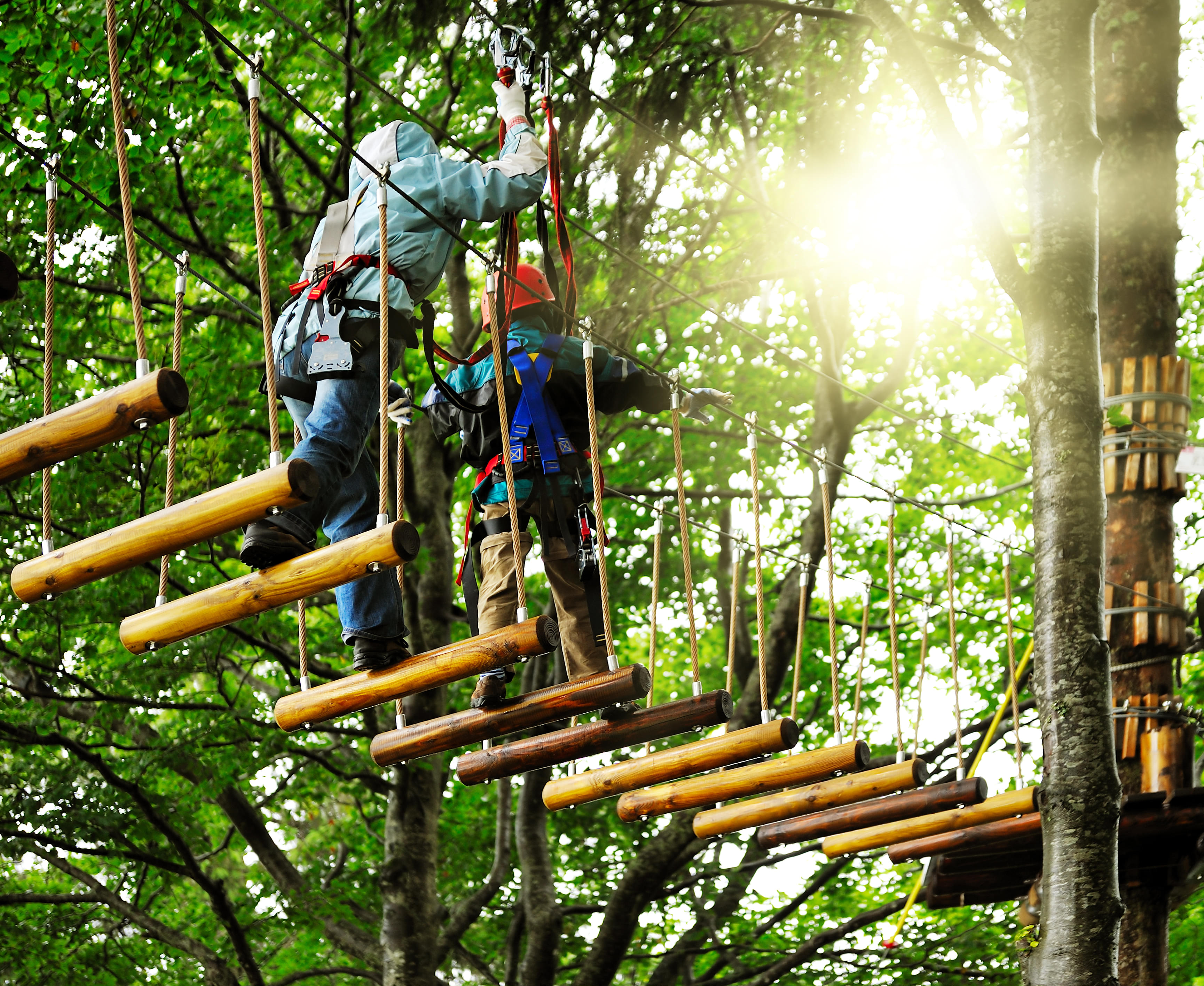 Participate in rope course activities