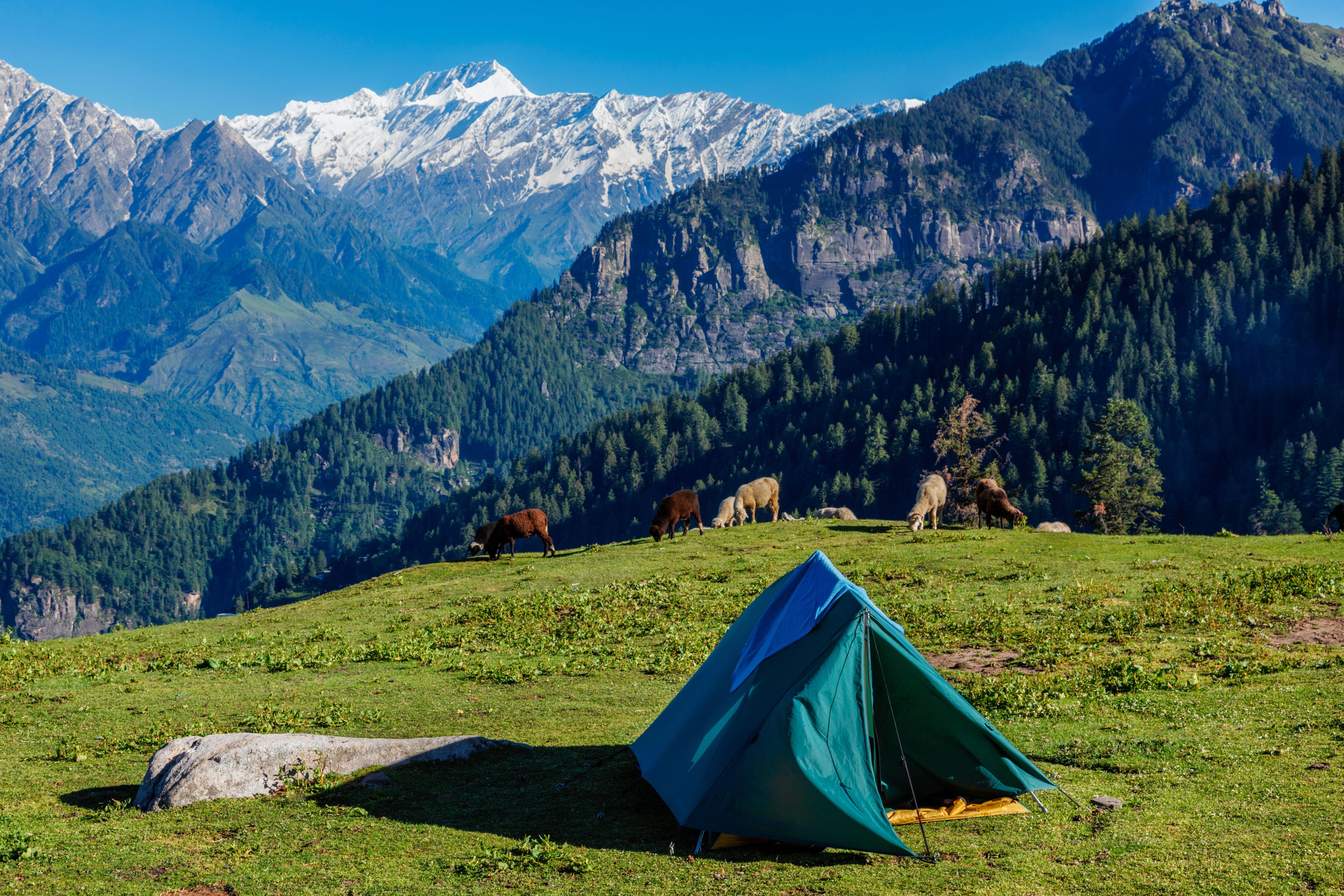 camping in manali